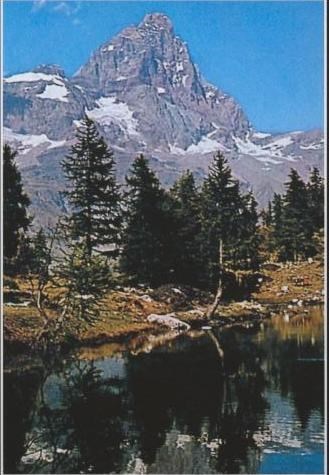 Obituary of Sebastian Bayon