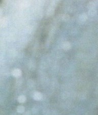 Stephen Harris avis de décès - Boca Raton, FL