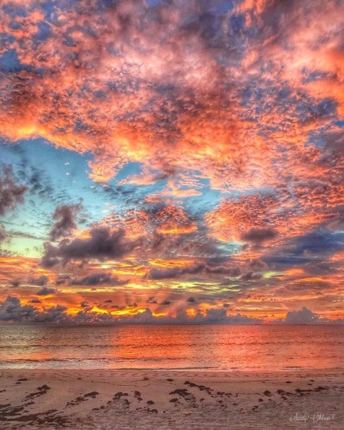 Obituario de Dawn Lee Ison