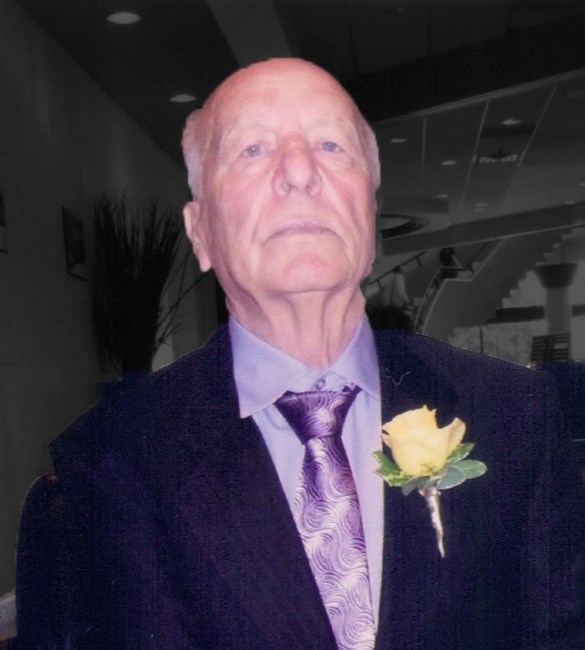 Obituary of Domenico Ferrari