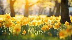 Maria Quinonez Obituary - Chula Vista, CA