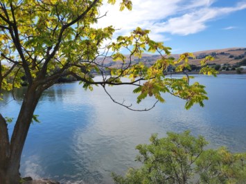 Obituary of Georgina Elizabeth Simmons