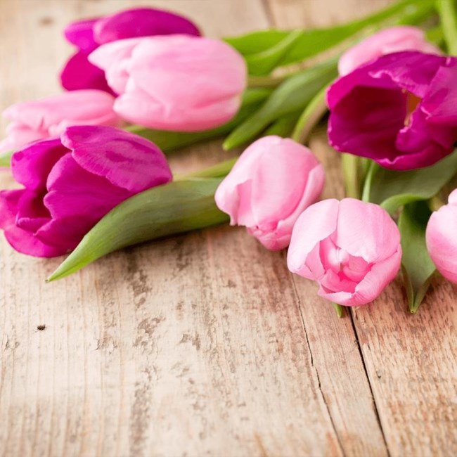 Obituary of Mrs. Mary Sue Tipton