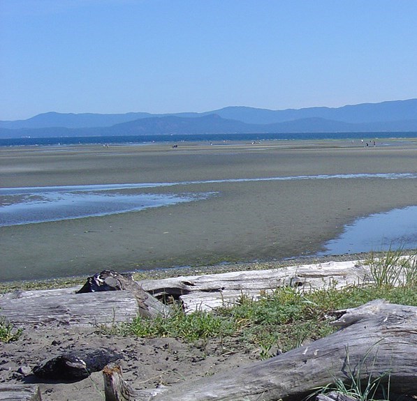 Obituary of David Alan LUCKEN