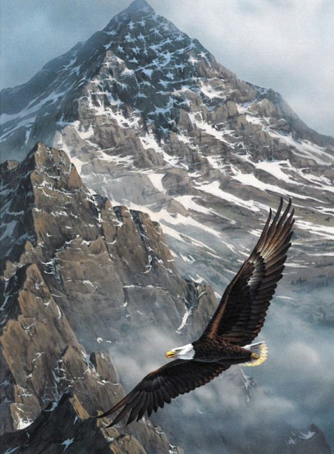 Obituary of Thomas J. McManus Jr.