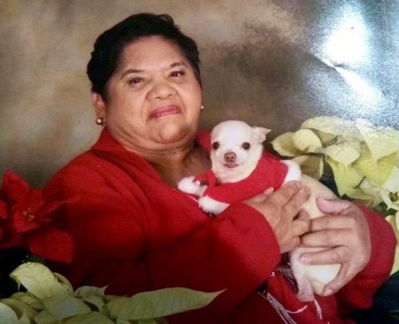 Obituary of Consuelo Rodriguez