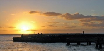 Obituary of Eric Gerardo Gonzalez Ortíz