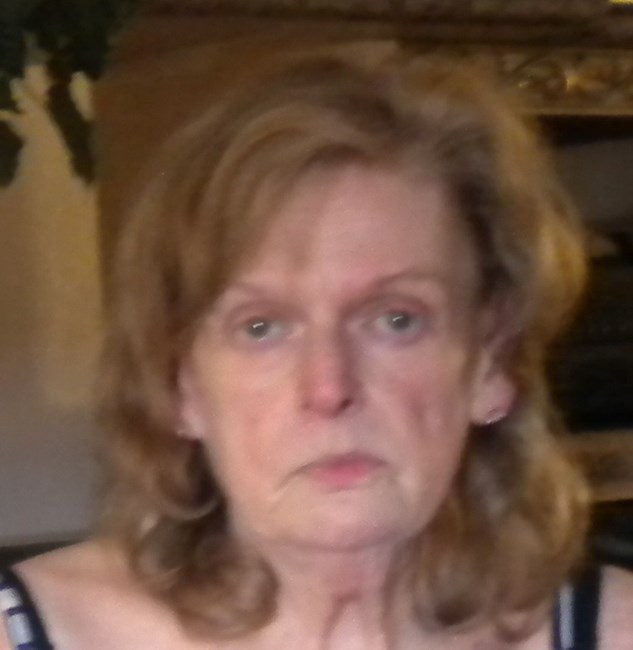 Obituary of Judy Lee Shafer