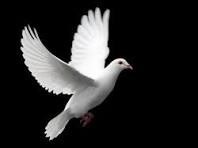 Obituary of Alejandro Montes Olivas