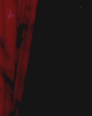 James Mathys Obituary - Palm Bay, FL