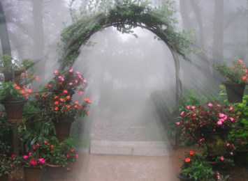 Obituary of Kaytlynn Natasha-Irene Kleber