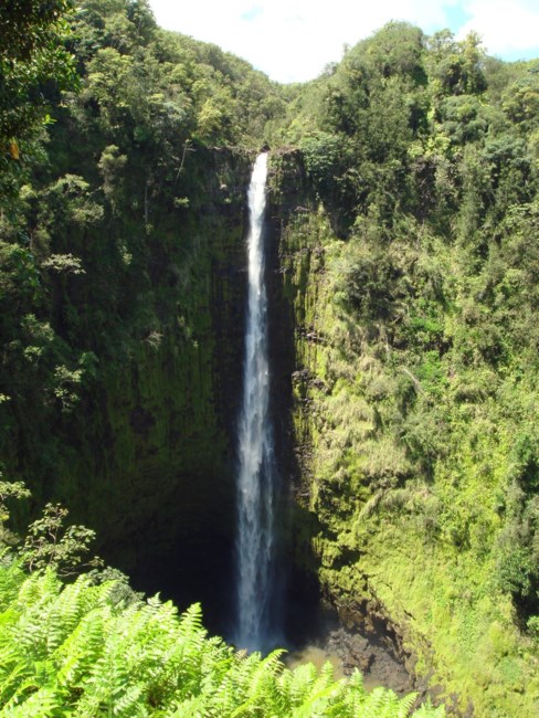 Obituary of Orlando Leslie Coons