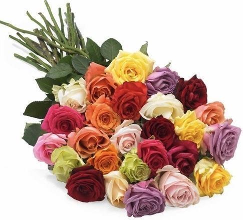 Leon Manus Obituary Nashua Nh