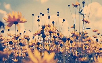 Obituary of Marjorie A. Ward