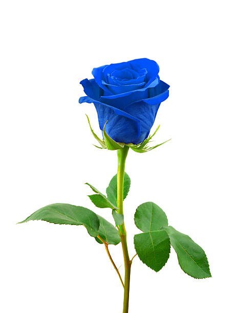 Obituary of Gustavo L Pardo