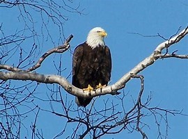 Obituary of George Stephen FISHER