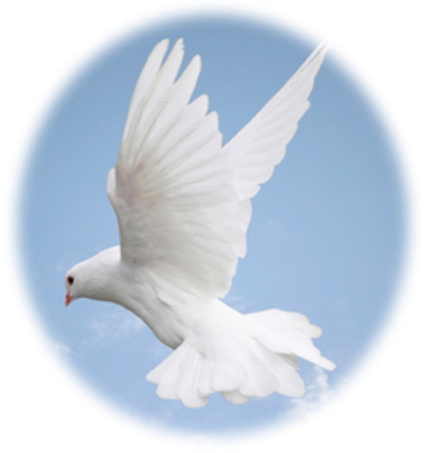 Obituary of Ethel Ferguson Grieve (neé Ellah)