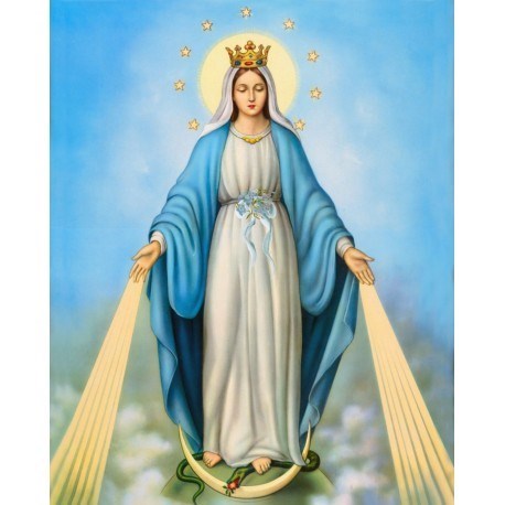 Obituary of Jenny Elizabeth "Ely" Seijo Ortíz