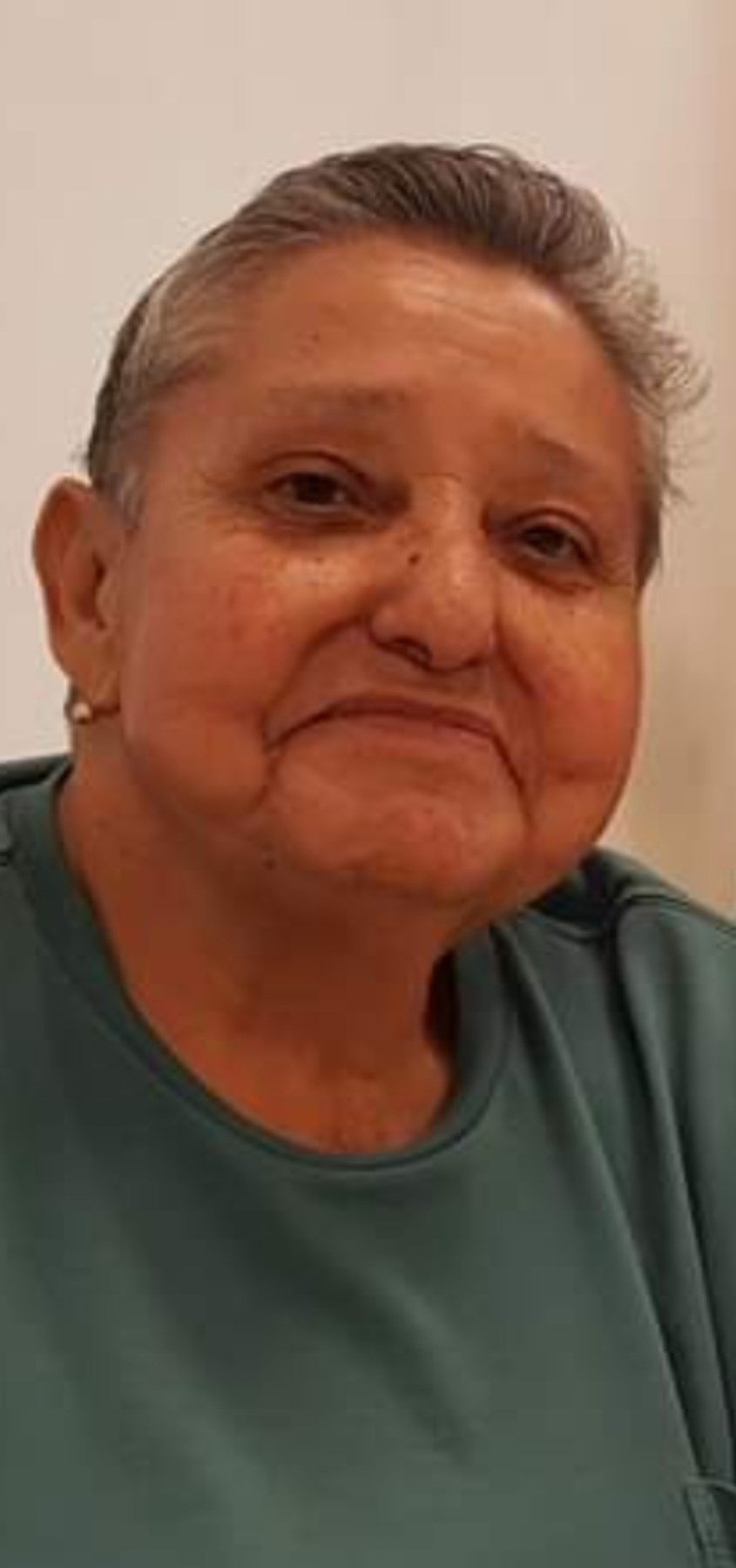 Obituary of Alma Nora Elizondo