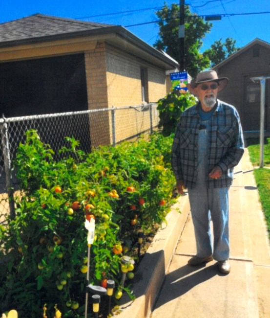 Obituary of Albert Stampfl