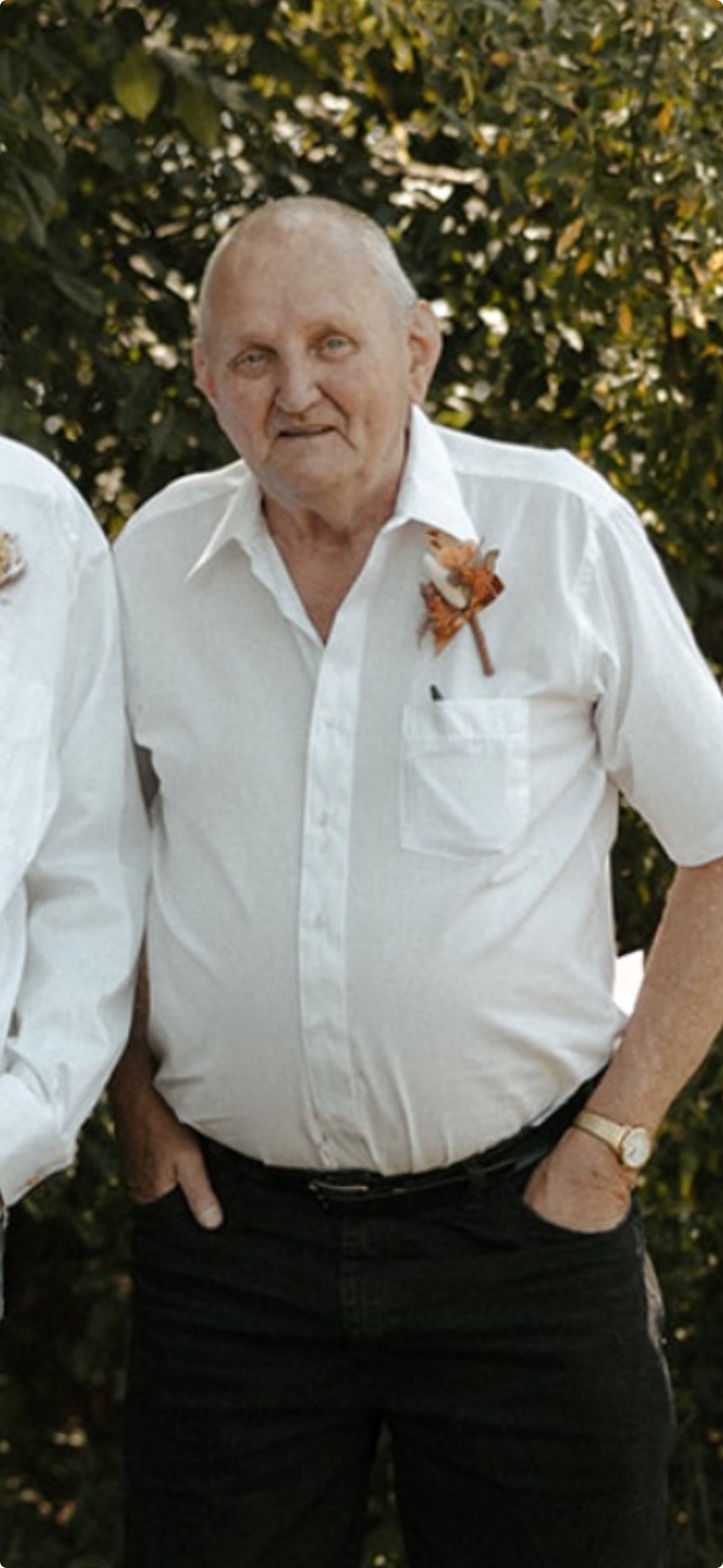 Obituary of Wayne Terry Boerigter