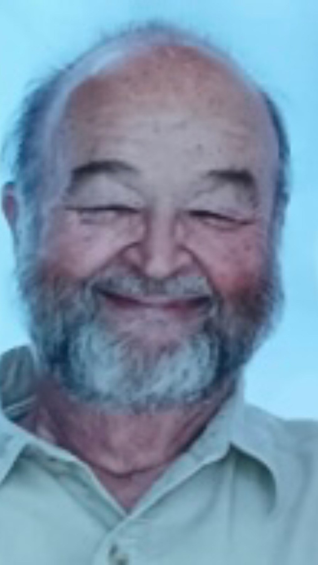 thomas-wolff-obituary-st-ann-mo