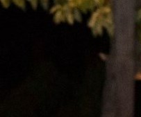 Robert Lloyd Obituary - Pekin, IL