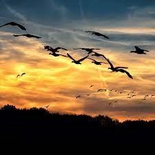 Obituario de Romel Perez Mendoza