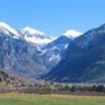 Obituary of Louis James ""Buzz Ausmus