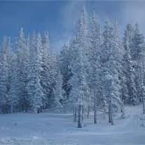 Obituary of Norma Spackman Knight Stocks