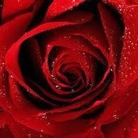 Obituary of Billy Joe "B.J." Little