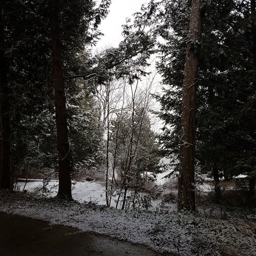 Obituary of Wayne Francis Craig