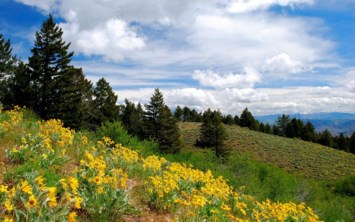 Obituary of Lawrence Roberta