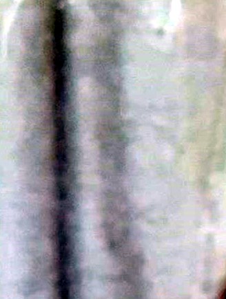 James Paul Kastle Obituary Ashland, VA