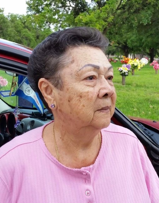 Obituary of Ligia L. Ramirez