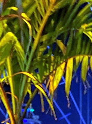 Gilbert Rhyner Obituary - Bel Air, MD