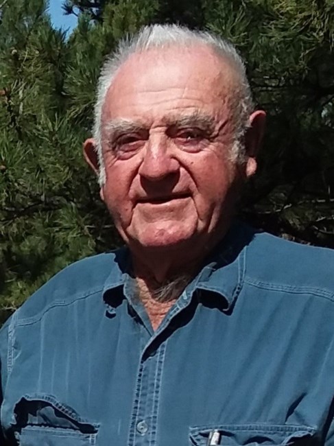 Obituary of Theodore Dale Smith