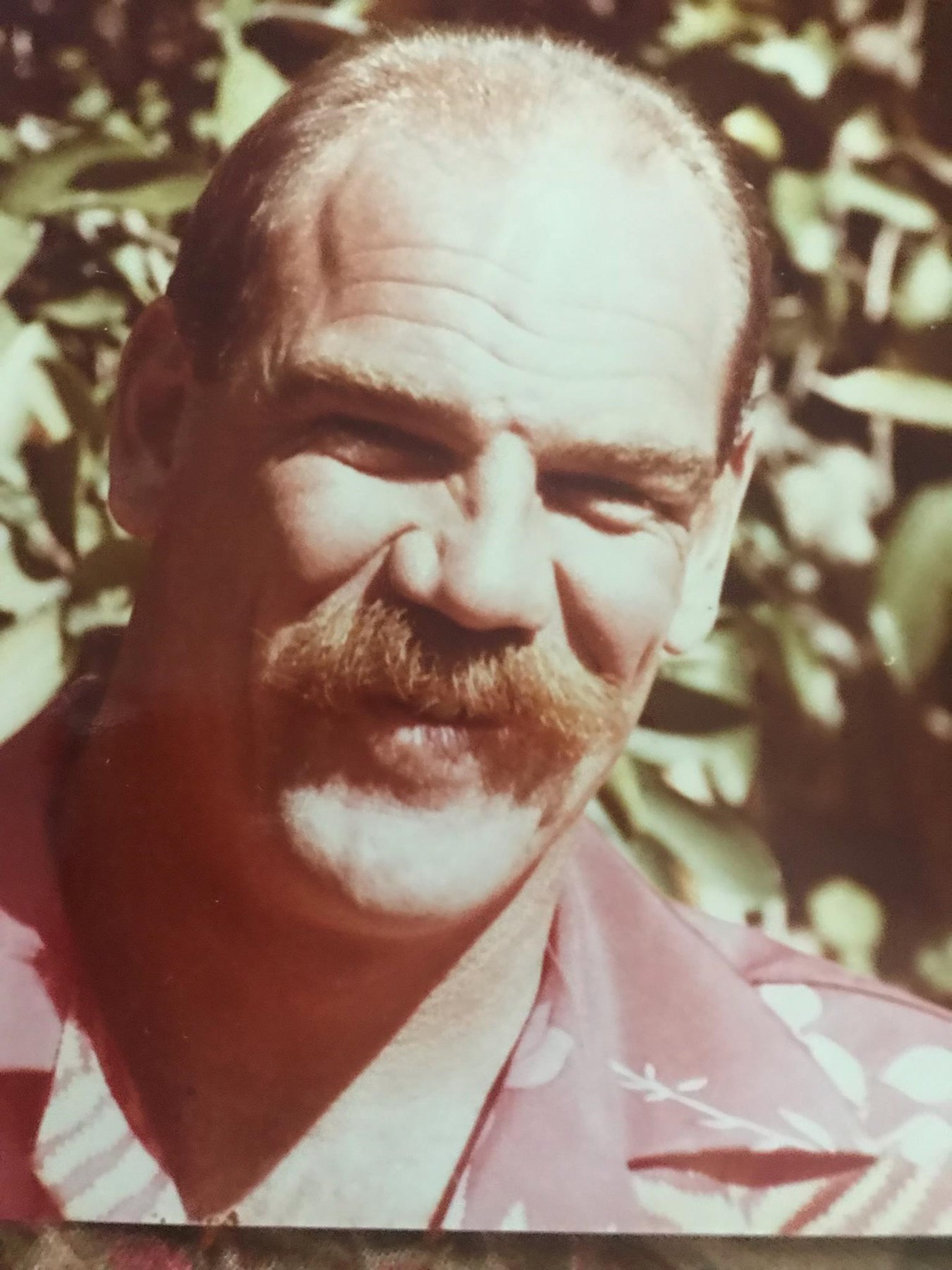 Obituary of Michael Thomas Bloom