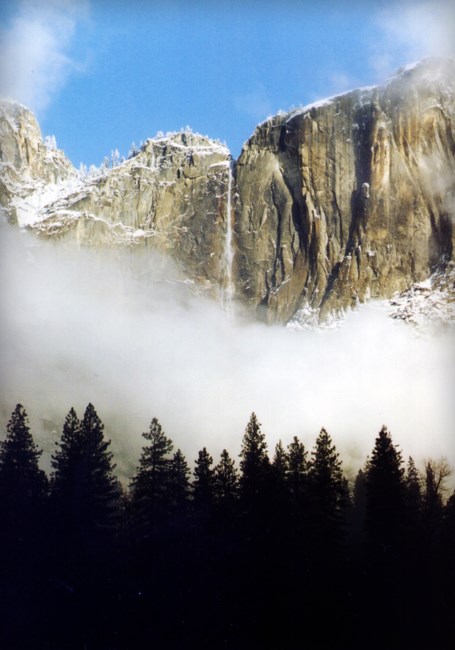 Obituary of David John Carter