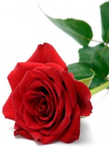 Obituary of Florence Elizabeth Brown