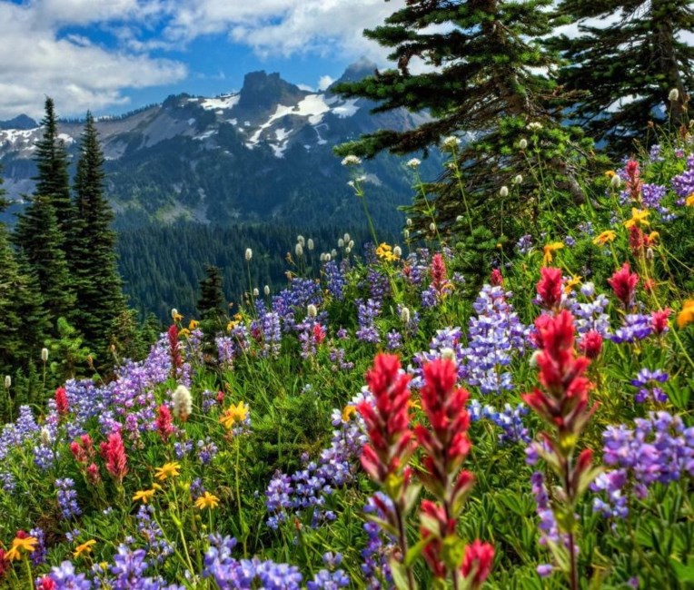 Obituary of Mary J. Miller