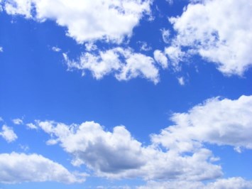 Obituary of Paul Henry Harvey