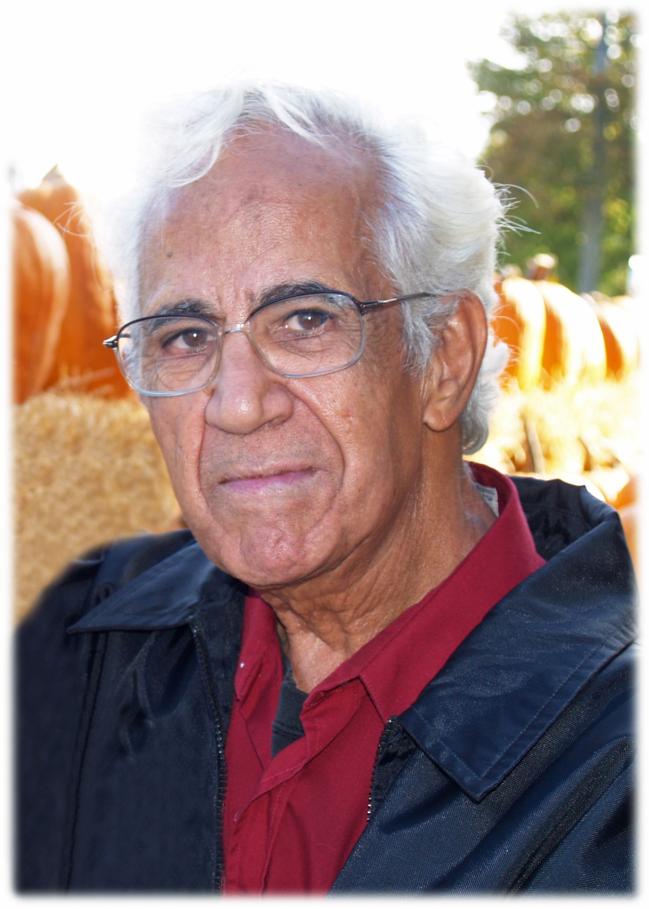 John Sant Obituary Roseville MI john-sant-obituary-roseville-mi