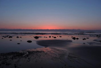 Obituary of Leigh Janet Coleen McARTHUR