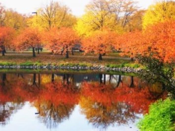 Obituary of Paul A. Bagin