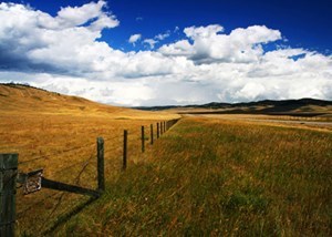 Obituary of Robert Cooper Moss