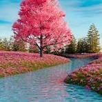 Obituary of Ernest Thomas Cardone