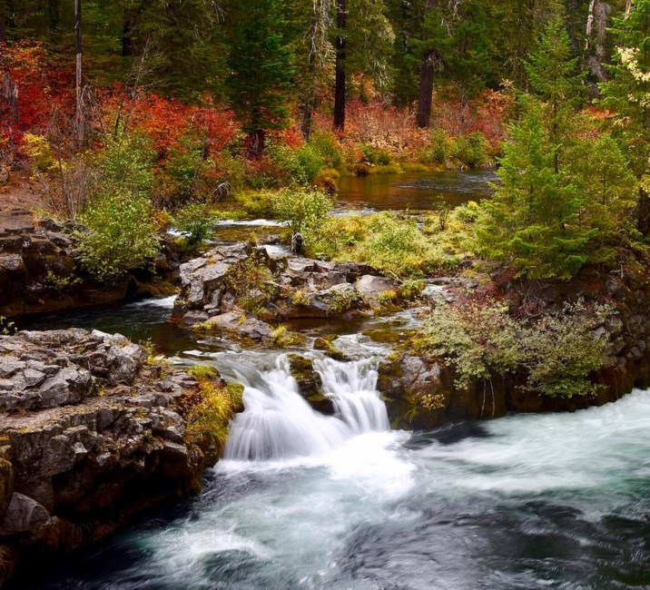 Obituary of Carl Richard Lewis