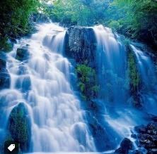 Obituary of Cynthia Renee Smith