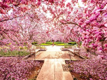 Obituary of Carmen Lydia López Torres